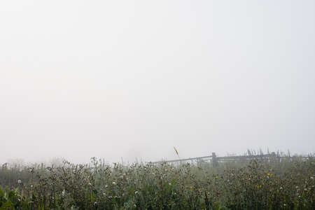Blue sky. Green grass. Horizon.の写真素材