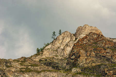 The rocks on the background of cloudy sky. Lichen on the rocks. Spruce.の写真素材