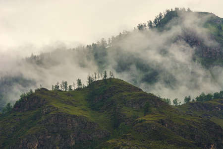 Fog in the mountains. Overcast weather. Altai.の写真素材