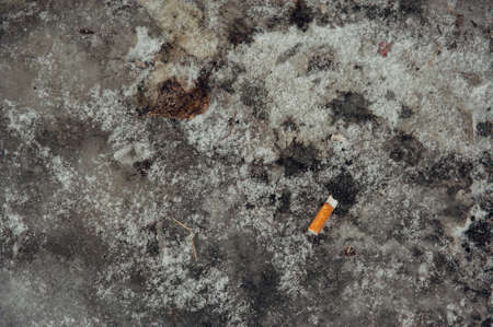 The cigarette butt on the icy ground. Socially - Conceptual photography. Minimalism.の写真素材