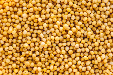 Yellow pure grain of millet. Seamless texture.の写真素材