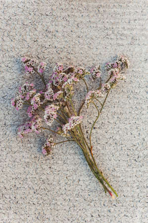 A bouquet of white pink little flowers on a concrete texture. Conceptually.
Template. Artの写真素材