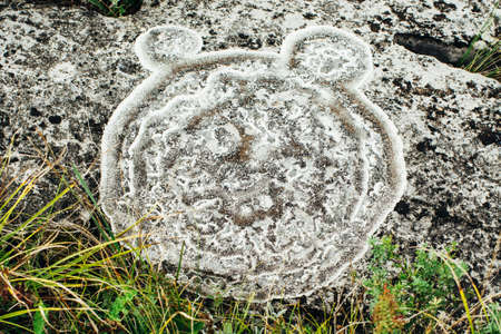 Nature depicted the head of a bear on a rock with the help of lichens. Nature as an artist.の写真素材