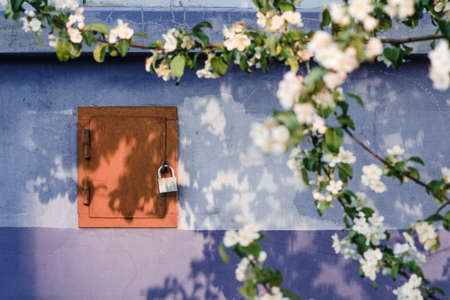 Harmony of nature and human creations. Branch of apple tree casts beautiful shadow on wall with hatch on lock. Picturesque background image.の写真素材