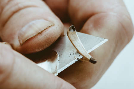Elderly man sharpens pencil with clerical knife. Fingers of artist close up.の写真素材