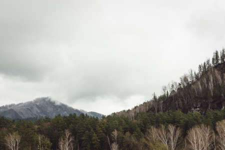 Overcast mountain landscape with hills in mist. Fog above beautiful mountains. Rainy weather in Altai.の写真素材