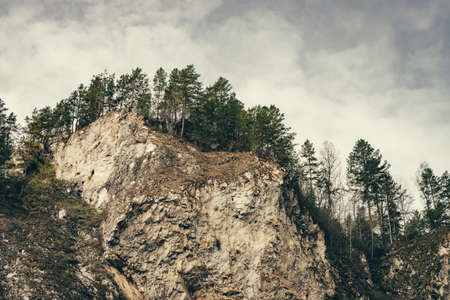 Low clouds float between mountains. Dense fog lies in mountainous terrain among greenery. Amazing...