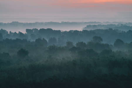 Mystical view from top on forest under haze at early morning. Mist among layers from tree silhouettes in taiga under warm predawn sky. Morning atmospheric minimalistic landscape of majestic nature.の写真素材