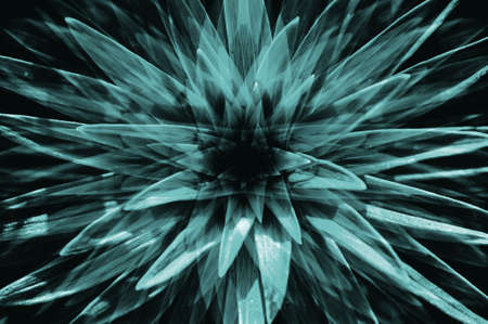Hallucinations in shape of big turquoise surreal plant with long leaves close up. Abstract illusion on drink and drug theme. Psychedelic tropical effect of cannabis or alcohol. Lsd effect. Hemp dope.の写真素材
