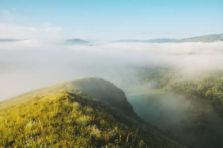 Meadow with small yellow flowers on mountain peak against background of thick fog above abyss. Haze...