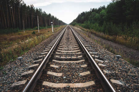 Railway traveling in perspective across forest. Journey on rail track. Poles with wires along rails. Atmospheric landscape with railroad along bushes and trees with copy space.の写真素材