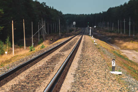 Railway traveling across forest in dusk. Journey on rail track. Poles with wires along rails in...