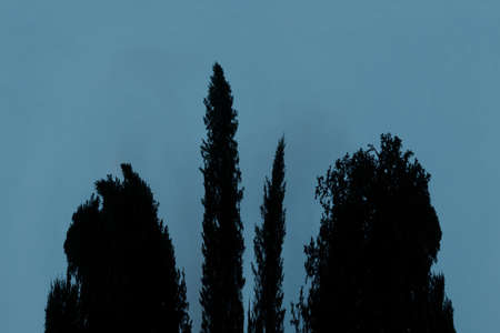 Scary background with ghost in dark night tones. Night silhouette of creepy monster in shadow with...