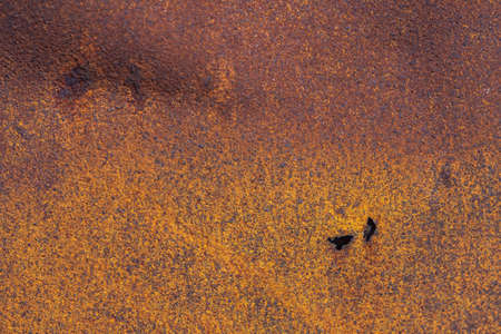 Rust on metallic surface. Rusted iron texture. Rusty metal background with copy space. Rough oxide plate close up. Strong rust. Hard decay of metal in macro. Oxidation of steel. Chemical reaction.の写真素材
