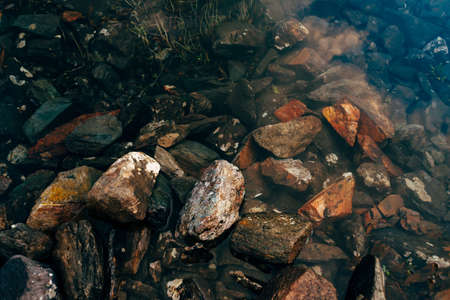Plants and stones on bottom of mountain lake with clean water close-up. Texture of smooth pure water...