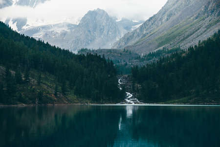 Ghostly forest near mountain lake in early morning. Mountain creek from glacier flows into lake....
