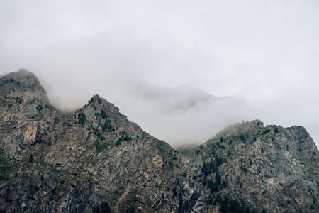 Ghostly giant rocks with trees in thick fog. Mysterious huge mountain in mist. Early morning in mountains. Impenetrable fog. Dark atmospheric eerie landscape. Tranquil mystic atmosphere of wilderness.の写真素材