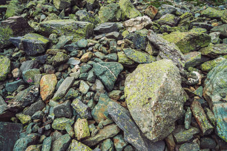 Multicolored boulder stream. Loose rock close up. Pink flower among randomly stones. Amazing...