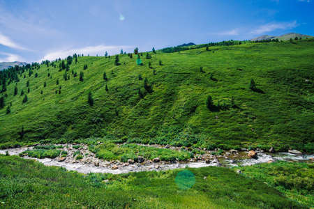Mountain creek in green valley among rich vegetation of highland in sunny day. Fast water flow from...