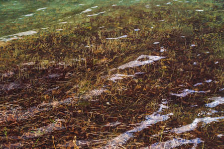 Plants on bottom of mountain lake with clean water. Ripples and reflections on smooth water surface...
