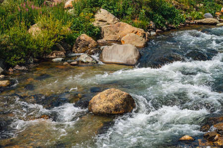 Big boulders in mountain creek close-up. Rapids of river with copy space. Fast water stream along beautiful vegetation. Fast flow near wet stones. Background of clean waves. Rich flora of highlands.の写真素材