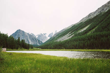 Wonderful snowy mountains behind small mountain lake with shiny water among rich vegetation. Creek flows from glacier. White clear snow on ridge. Amazing atmospheric landscape of highlands nature.の写真素材