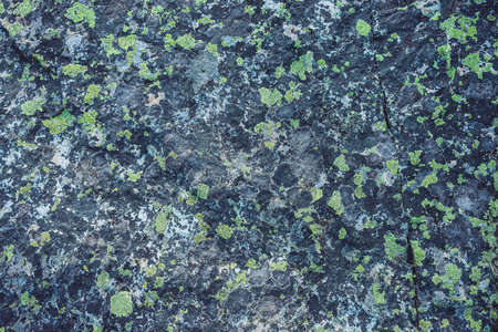 Plane of multicolored boulder in macro. Beautiful rock surface close up. Colorful textured stone. Amazing detailed background of highlands boulder with mosses and lichens. Natural texture of mountain.の写真素材