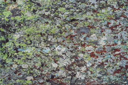 Plane of multicolored boulder in macro. Beautiful rock surface close up. Colorful textured stone. Amazing detailed background of highlands boulder with mosses and lichens. Natural texture of mountain.の写真素材