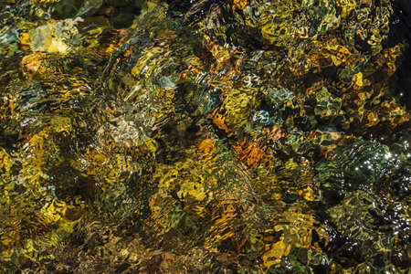 Varicolored detailed texture of stony bottom of transparent brook close up. Clean water in mountain...