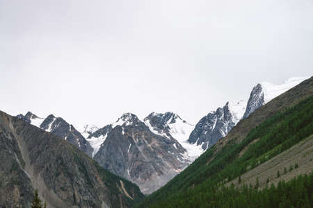 Snowy mountain top behind hill with forest under cloudy sky. Rocky ridge in overcast weather. White snow on glacier. Atmospheric landscape of majestic nature.の写真素材