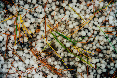 Hailstones on ground in macro. Big hailing close-up. Natural background of hail. Hailstorm dropping...
