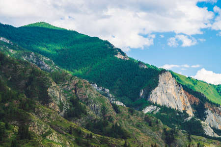 Wonderful mountains with forest cover on mountainside in sunny day. Beautiful giant rocky ridge. Rich vegetation in highlands in sunlight. Amazing mountain landscape of majestic nature.の写真素材