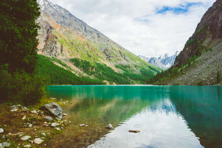 Rich vegetation of highlands against mountain lake against. Wonderful giant snowy mountains reflected in water. Creek flows from glacier. Amazing atmospheric landscape of majestic nature.の写真素材