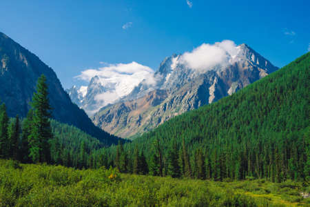 Meadow near forest edge. Rocky ridge with snow behind hills with conifer forest. Clouds on top of huge snowy mountain range under blue sky. Giant rock. Atmospheric landscape of highland nature.の写真素材