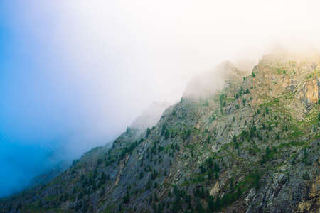 Diagonal mountainside with forest in morning fog close up. Giant mountain in haze. Early sun is...