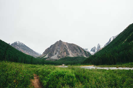 Mountain creek in valley against giant mountains and snowy tops. Water stream in brook against glacier. Rich vegetation and forest of highlands. Amazing atmospheric landscape of majestic nature.の写真素材