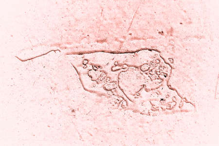 Vintage pink background. Rough painted wall of living coral color. Imperfect plane of beige colored....