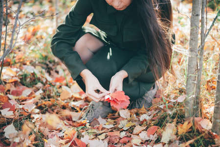Dreamy beautiful girl with long natural black hair on autumn background with colorful leaves in bokeh. Girl enjoys nature and collect fallen leaves in autumn forest surrounded by vivid foliage.の写真素材