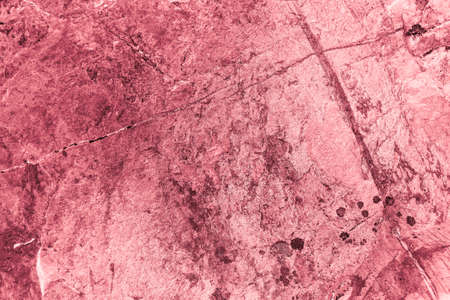 Vintage pink background. Rough painted wall of fiesta color. Imperfect plane of rosy colored. Uneven...
