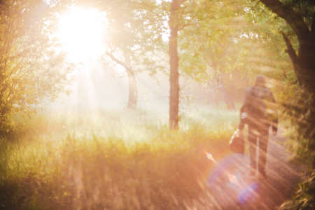 Man walks in park in morning sunlight. Back view on man on sunrise. Sunbeams and lens flare with...