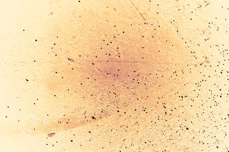 Vintage yellow background. Rough painted wall of aspen gold color. Imperfect plane of golden...