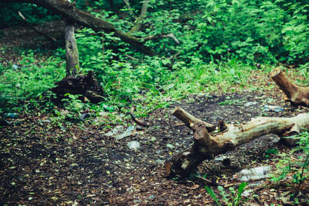 Garbage pile in forest among plants. Toxic plastic into nature everywhere. Rubbish heap in park among vegetation. Contaminated soil. Environmental pollution. Ecological issue. Throw trash anywhere.の写真素材
