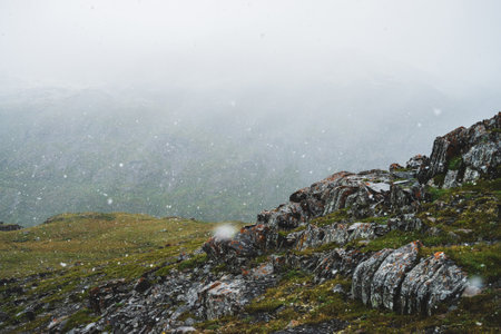 Beautiful snowfall in mountains. Atmospheric green alpine landscape with large snowflakes. Sharp craggy stones with lichens on hill during snowfall. Wonderful scenery of highlands with flakes of snow.の写真素材