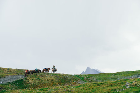 Horse caravan on hill top and big mountain peak with snow. Atmospheric minimalist alpine landscape with horses on mountain top. Horseman on white horse leads caravan along highlands. Wonderful sceneryの写真素材