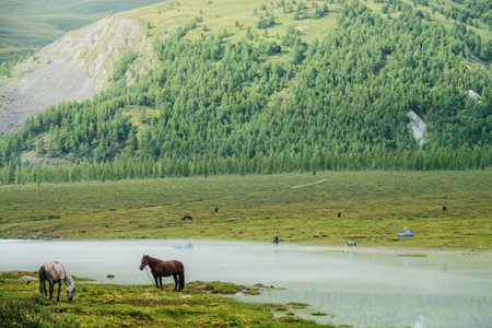 People in inflatable boat with oars cross mountain river in mist. Horses graze near misty mountain...
