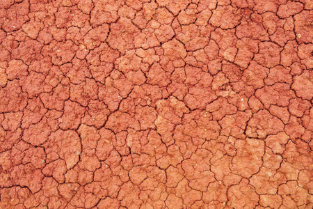 Nature background of cracked dry lands. Natural texture of soil with cracks. Broken clay surface of barren dryland wasteland close-up. Full frame to terrain with arid climate. Lifeless desert on earthの写真素材