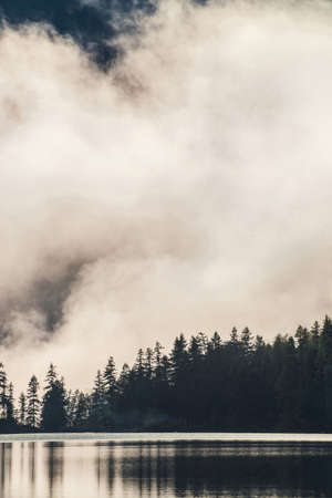 Silhouettes of pointy fir tops on hillside along mountain lake in dense fog. Reflection of coniferous trees in shiny calm water. Alpine tranquil landscape at early morning. Ghostly atmospheric sceneryの写真素材