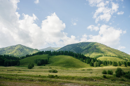 Wonderful scenic landscape to beautiful green mountains with trees in sunny day. Vivid summer...