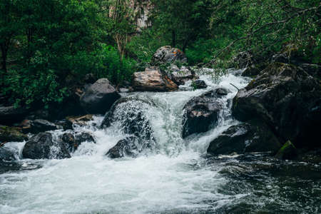 Atmospheric green forest landscape with mountain creek. Beautiful mystery taiga with wild river....