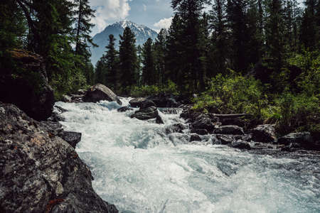 Powerful mountain river flow through forest. Beautiful alpine landscape with azure water in fast...